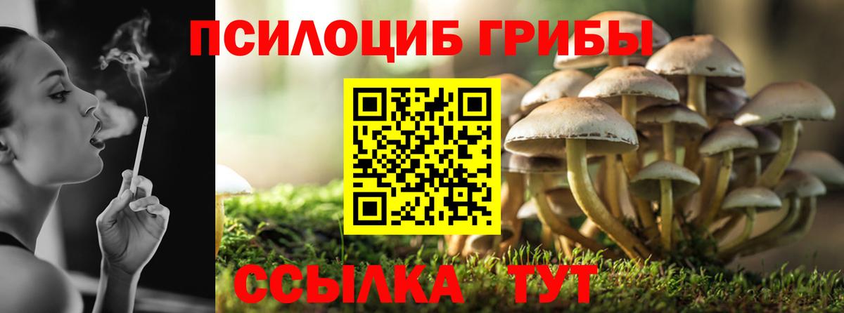 Псилоцибиновые грибы MAGIC MUSHROOMS Ефремов
